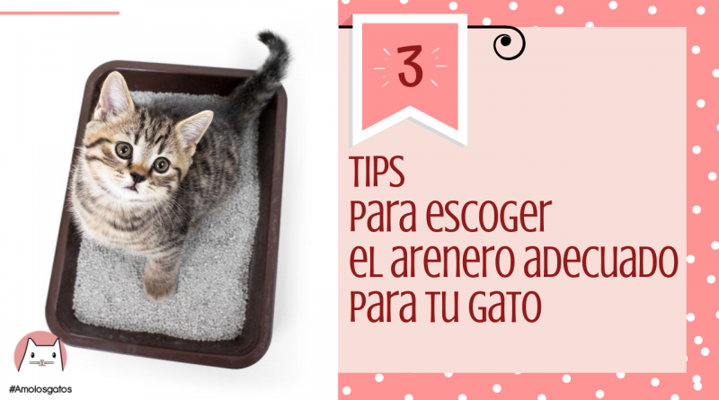 3 Tips para escoger el arenero adecuado para tu gato (2)